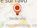 Verde Vita