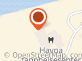 Mo i Rana Havn Kf