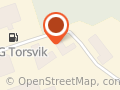 Torsviks Bilvård