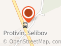 Květiny Slunečnice