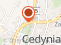Ligowska Alicja. Transport osób niepełnosprawnych