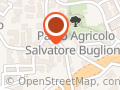 Marsiglia Arrigo