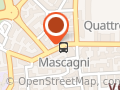 Tour'Z Travel Pinguino Viaggi