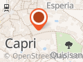 Capri Watch & Co