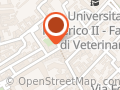 Figlie Di Cristo RE
