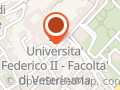 Universita' Federico II Fac.veterinaria