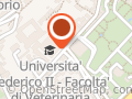 Farmaco Vigilanza Veterinaria Campania