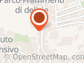 Peluso Fortuna