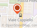 MilleMotivi Caserta