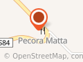 Pecora Matta