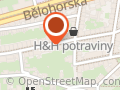 Slovanské vlasy