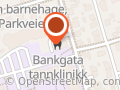 Tannhelsetjenesten, Den Offentlige