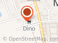 Market Dino