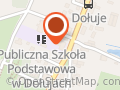 Publiczna Szkoła Podstawowa W Dołujach
