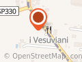 I Vesuviani