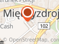 dr n. med. Ryszard Katroń, Endokrynolog