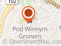 Pod Winnym Gronem