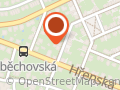 Achatina shne.czek