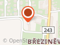 ms brezineves