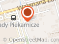 Auto Styl. Ryszard Więcławski