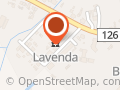 LAVENDA