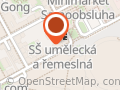 Šaty Go Home