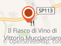 Il Fiasco DiVino