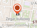 Altor przewozy mikrobusowe. Burno P.