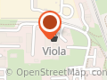 Viola. Stasiłowicz W.