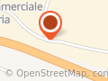 Ogenkide S r l
