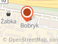 Stacja Paliw nr 4 Bobryk - Struga