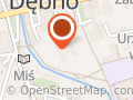 Regionalna Placówka Opiekuńczo - Terapeutyczna w Dębnie