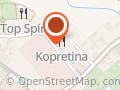 Řízková restaurace Kopretina