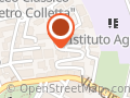 Muscetta Stefania (Dr.)