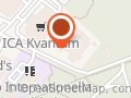 Svenska Rygginst Ab