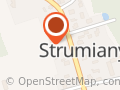 Leśnictwo Strumiany