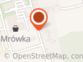Biedronka Witnica
