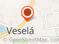 U Českého Lva