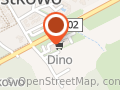 Market Dino