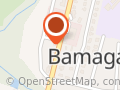 Bamaga Betta