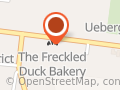 The Freckled Duck