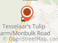 Tesselaar Bulbs & Flowers