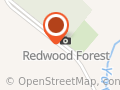 Sequoia Forest