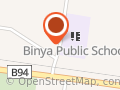 Binya Public School