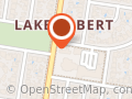 Lake Albert Servo