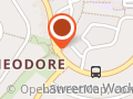 Friendly Grocer Theodore