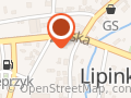 Robson Usługi Transportowe Robert Sopniewski