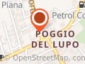 G.M. Petroli S.r.l.