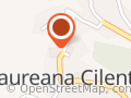Comune Di Laureana Cilento