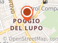 Pazzo pesca